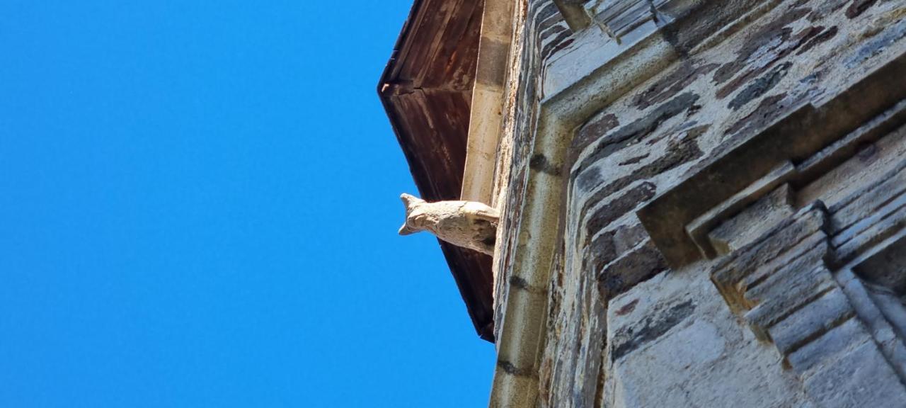 Maison Au Loup - Superbe Ancien Hotel Particulier Du Xvie Siecle Au Coeur De La Vieille Ville Du Puy Le Puy-en-Velay Ngoại thất bức ảnh